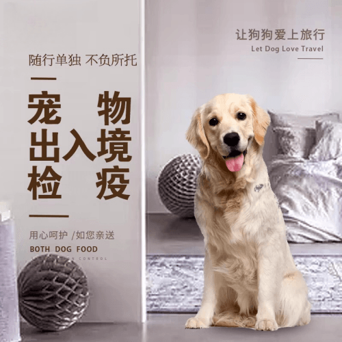 重庆市宠物托运到哥伦比亚猫狗宠物入境规定和