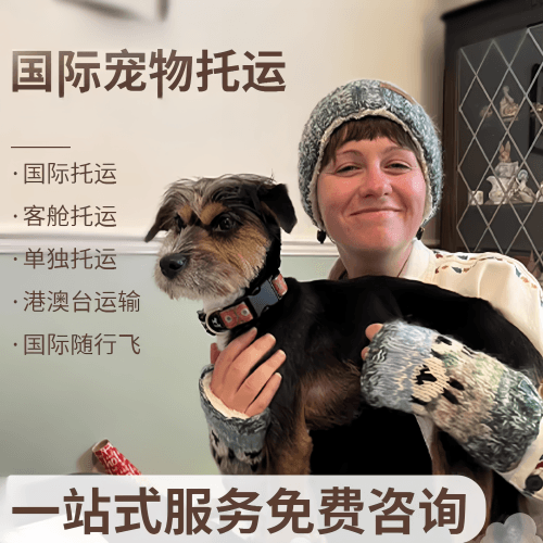 重庆市国际宠物托运到阿根廷宠物入境规定和要