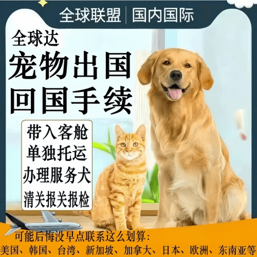 重庆市宠物托运到柬埔寨宠物入境规定和要求