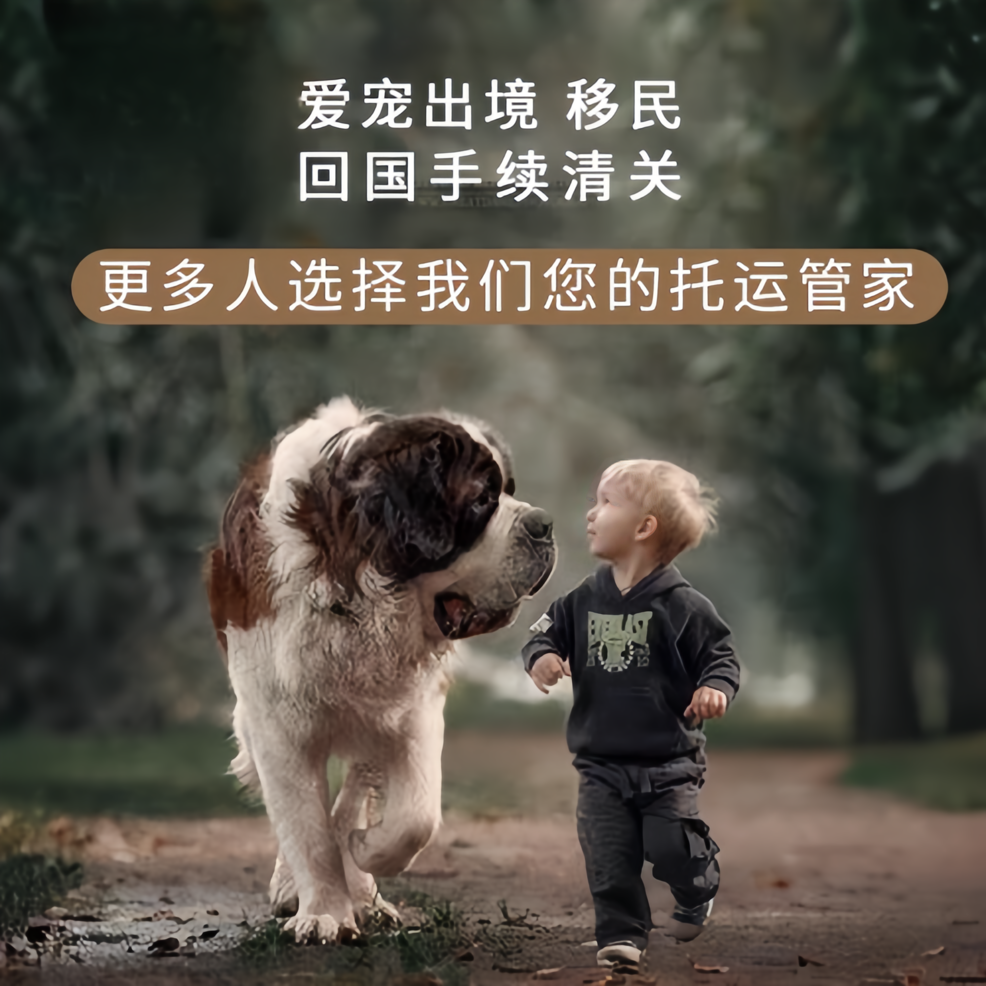 满财重庆市宠物全球达宠物托运在遵守入境目的地政策的条件