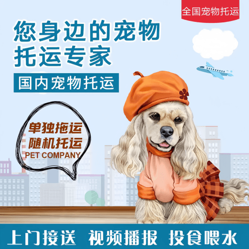 满财重庆市宠物全球达宠物托运作为专业的宠物运输代理机构